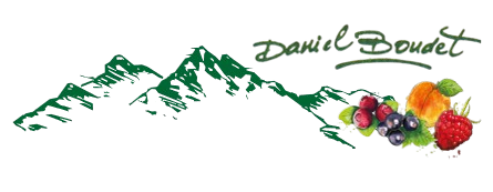 Daniel Boudet